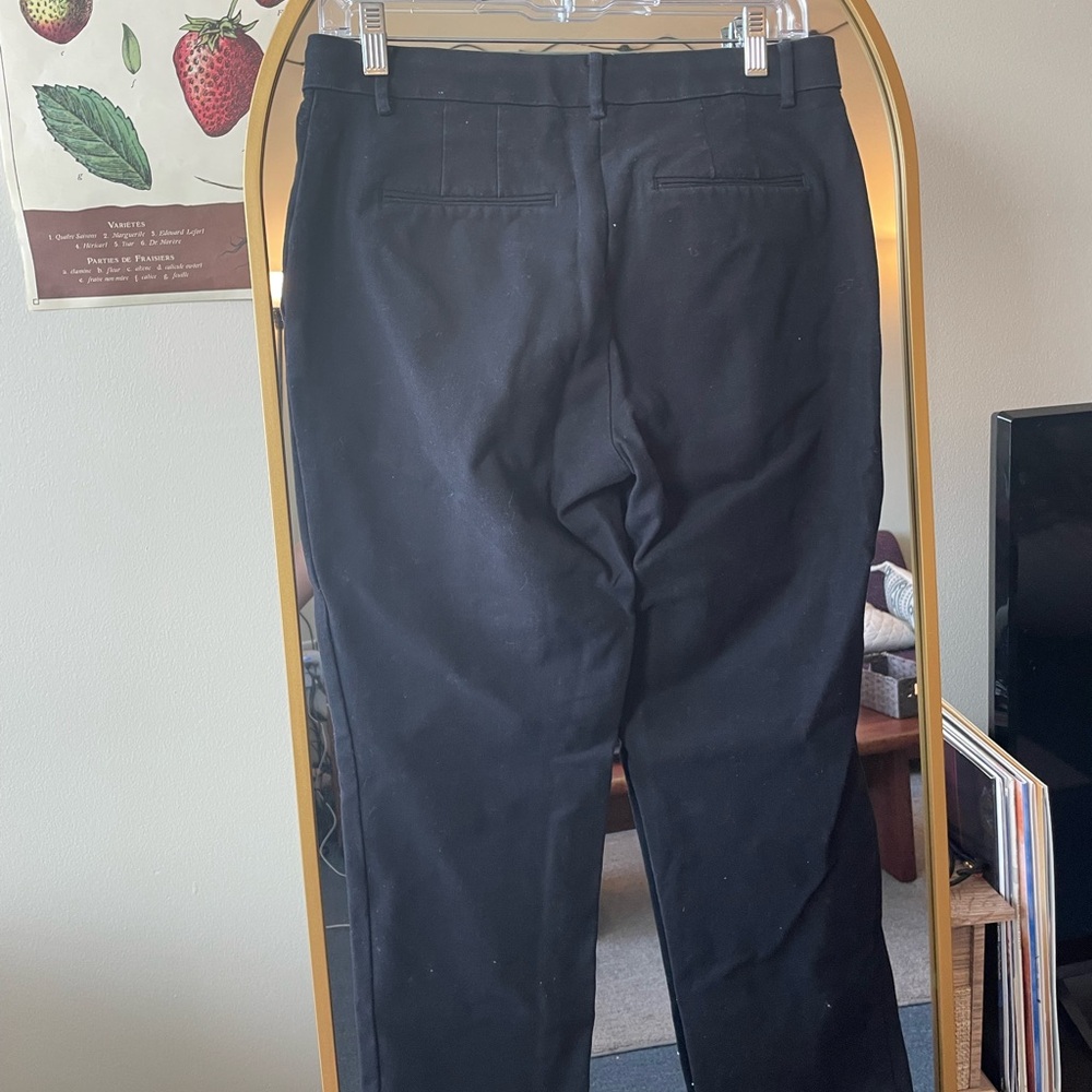 Ann Taylor - The Ankle Pant Curvy